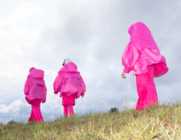 Mania Grandiosa, Karl Joonas Alamaa, Work, Projects 
