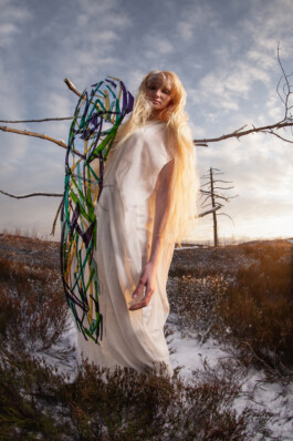 Delicate Tension, Work, Karl Joonas Alamaa 